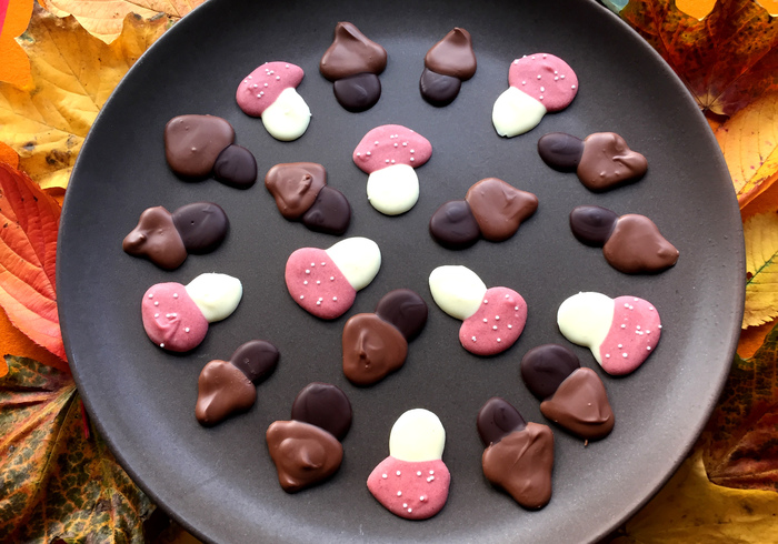 Chocolade paddenstoeltjes home