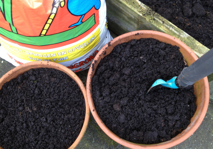 Moestuin 05