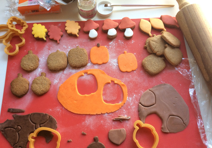 Kruidige herfstkoekjes 15