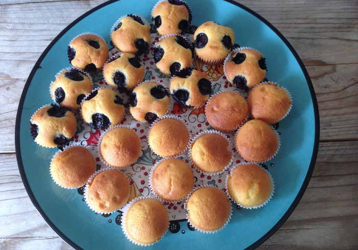Blueberry muffins 13