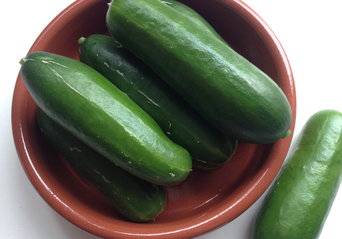 Moestuin 06