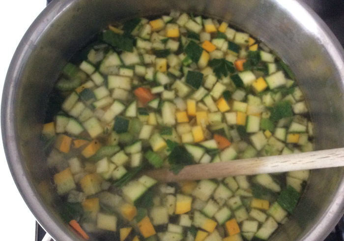 Zuppa di verdure 05