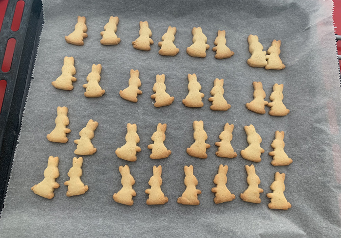 Konijnen koekjes 14