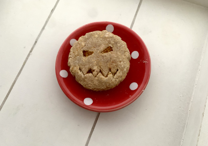 Hamster pumpkin pie home