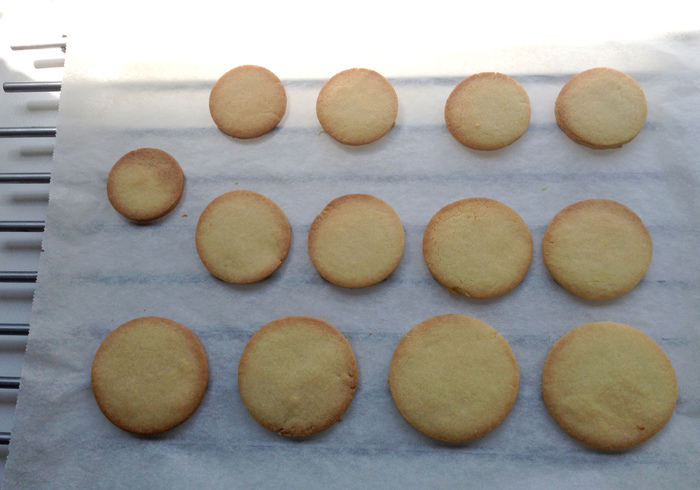 Planet biscuits 14