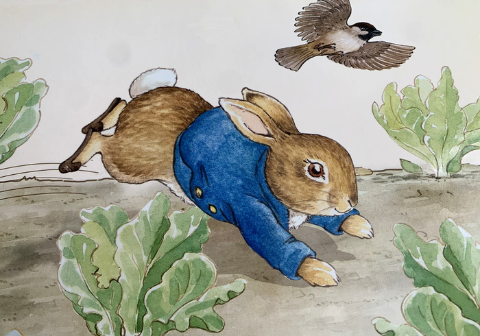 Peter rabbit easter surprise 01