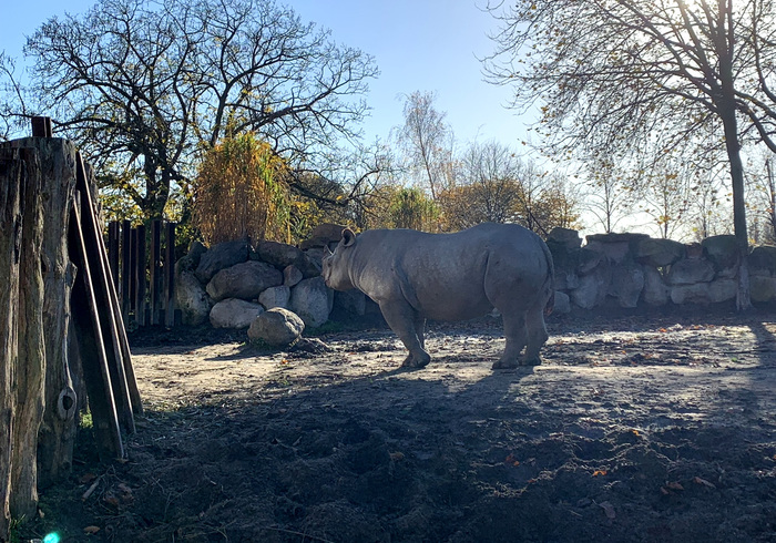 Blijdorp 34
