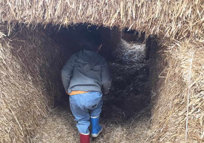 Boerderij schieveen 06