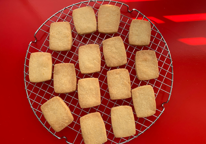 Dag vd aarde koekjes 04