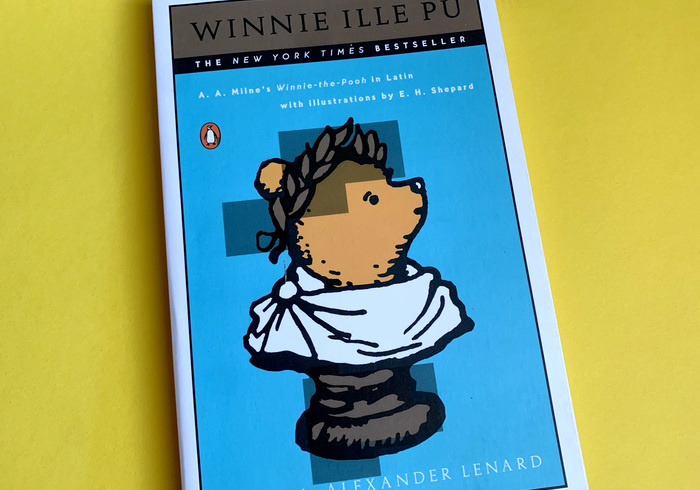 Winnie ille pu home