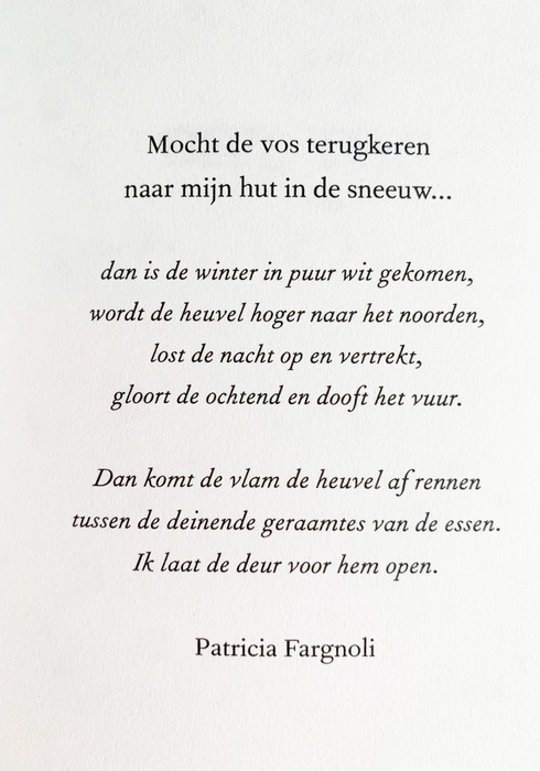 Misschien een vos 02