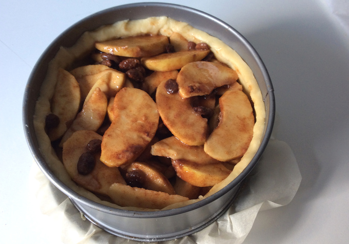 Dutch apple pie 11