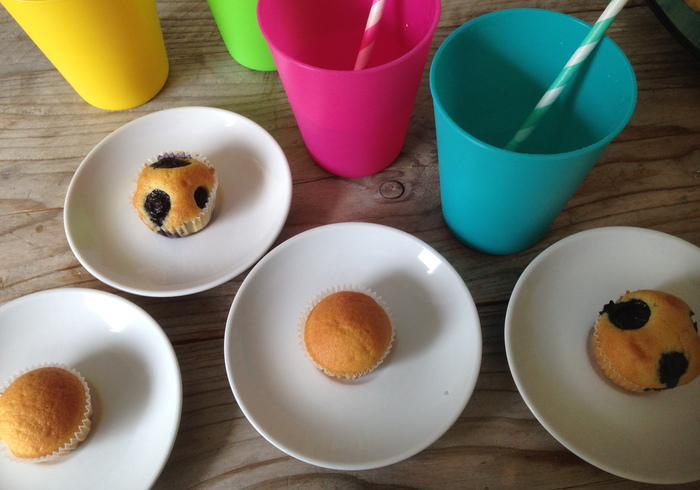 Blueberry muffins sidell