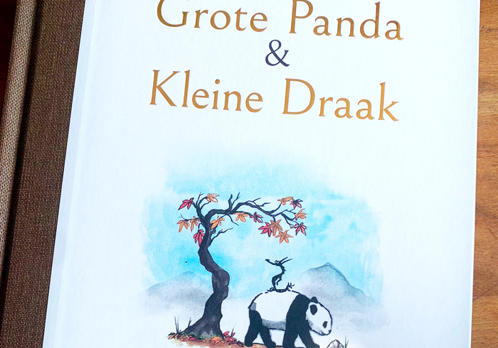 Grote panda kleine draak sidepic