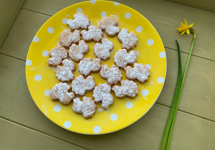 Duiven koekjes 09