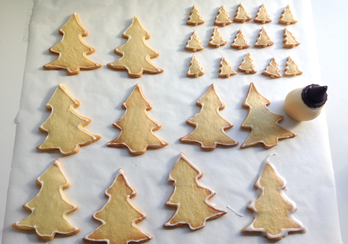 Christmas trees 15
