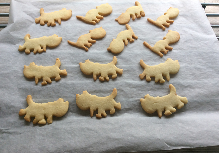 Fiep koekjes 04