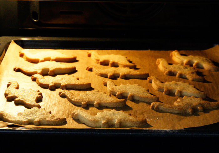 Dinosaur biscuits 05