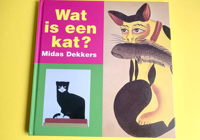 Wat is een kat  home