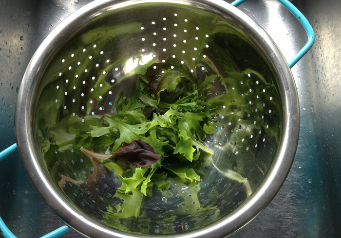 Salad 02