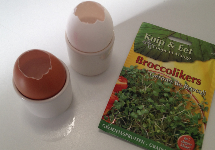 Cress eggs 06