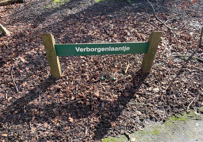 Bosdag sidepicll