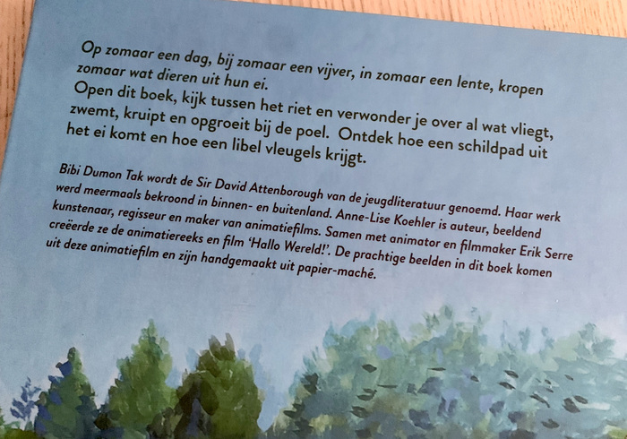 Zomaar een dag sidepicll