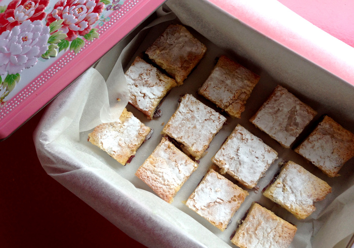 Cranberry blondies sidepicll