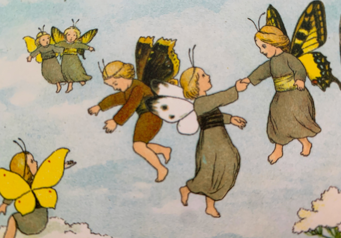 The butterfly children sidepic