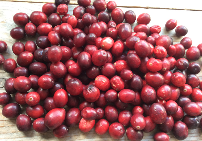 Cranberry buns sidepic