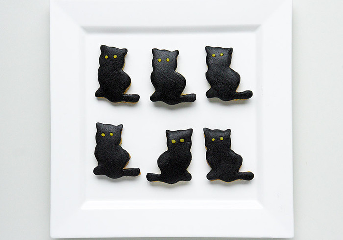 Katten koekjes promo