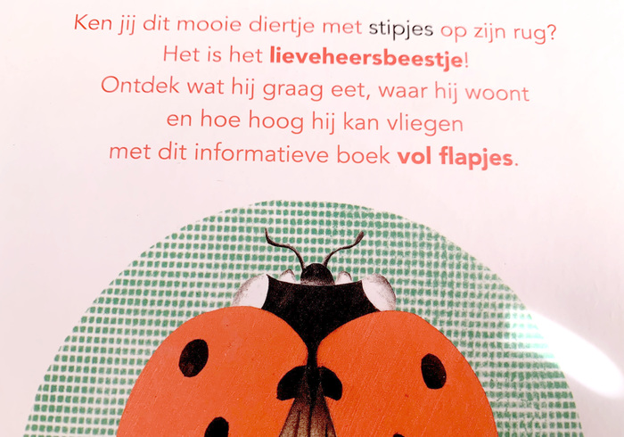 Het lieveheersbeestje sidepic