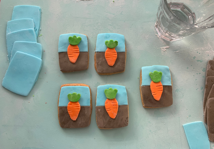 Dag vd aarde koekjes 10