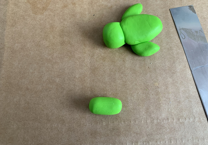 Zeeschildpadjes 12