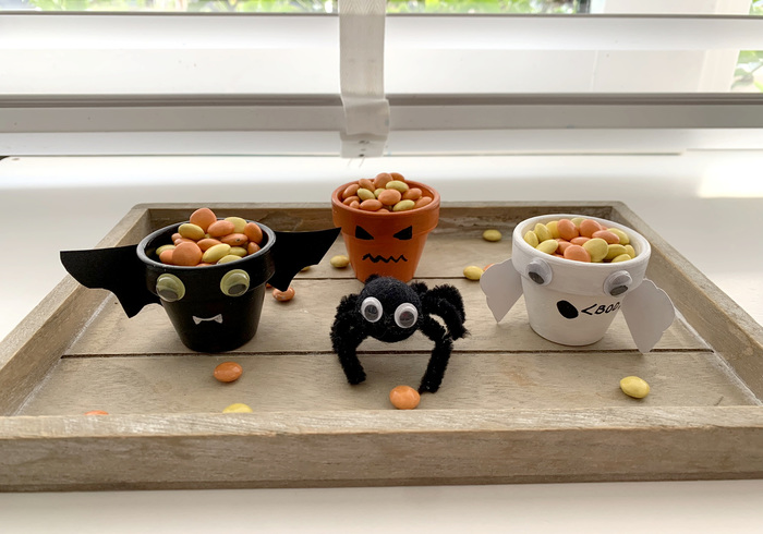 Halloween pots home