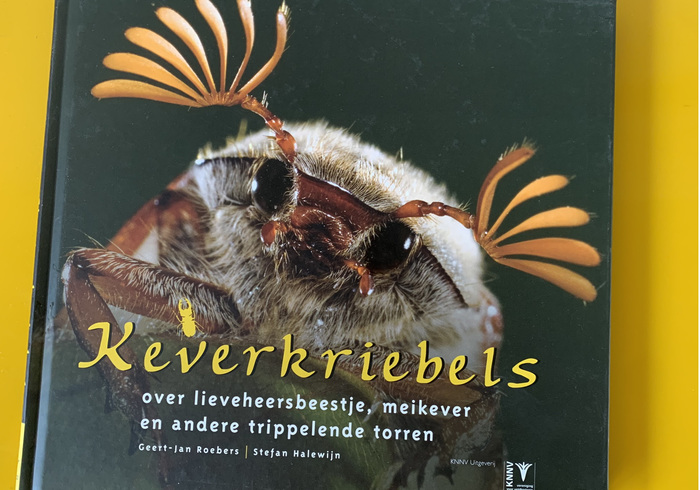 Keverkriebels sidepic
