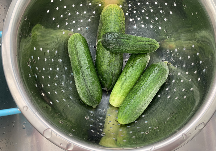 Augurken inmaken 06