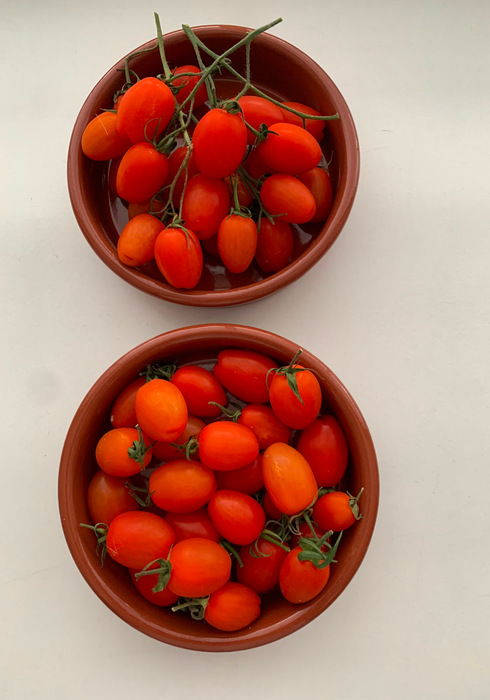 Tomaten 04