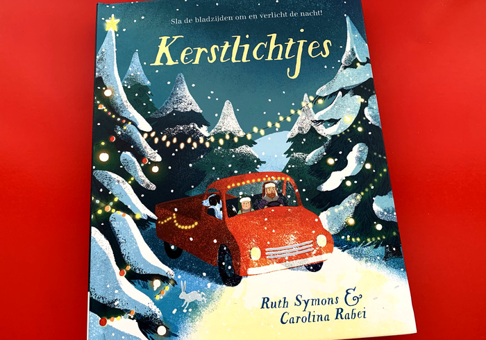 Kerstlichtjes sidepic