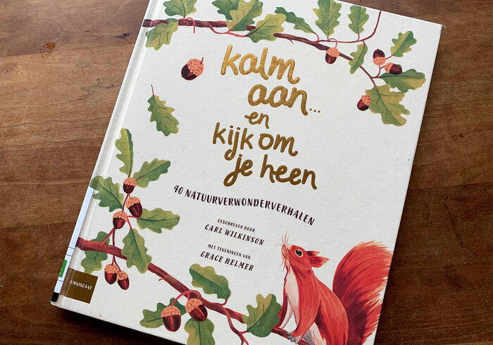 Kalm aan en kijk om je heen homepage