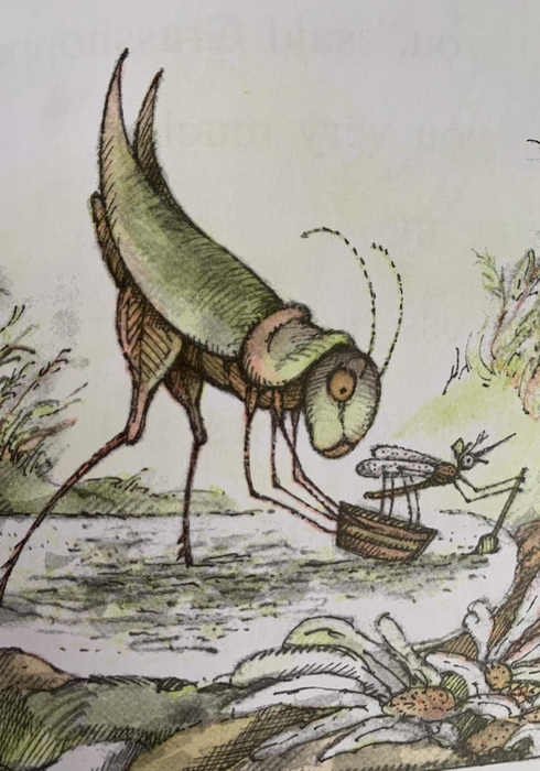 Grasshopper on the road 03