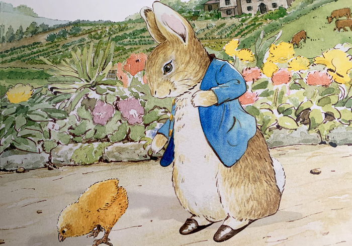 Peter rabbit easter surprise 03