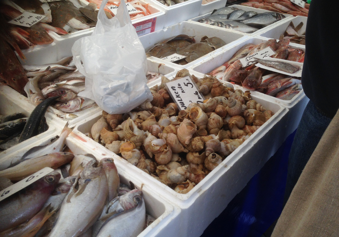 Markt rotterdam 09