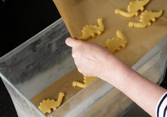 Dinosaur biscuits 04