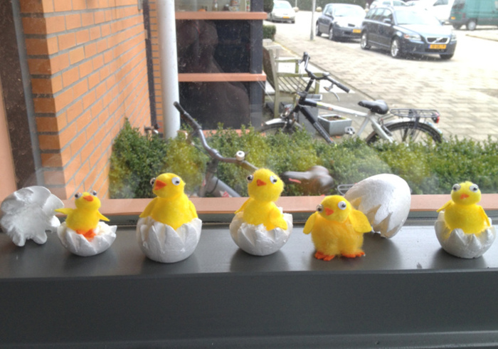 Easter chicks 14