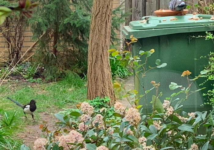 Lentetuin 03
