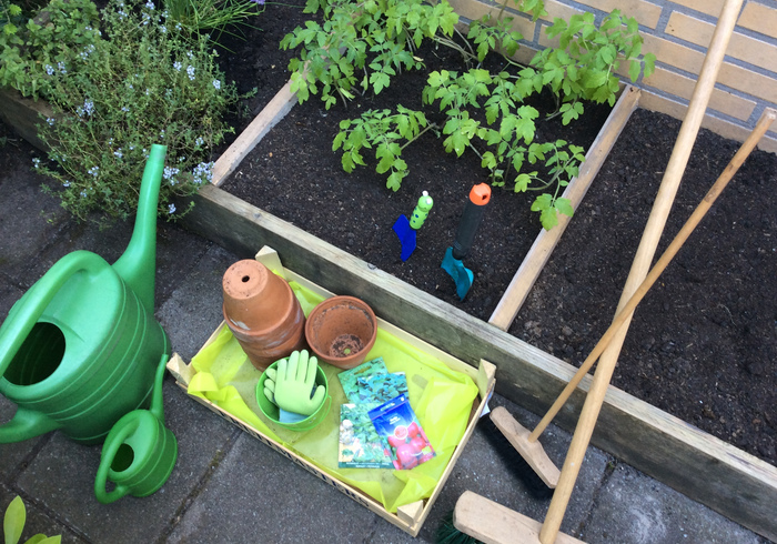 Redo kitchen garden 09