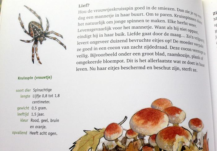 Herfstpret 01
