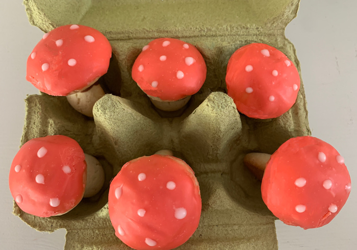 Paddenstoel koekjes 12