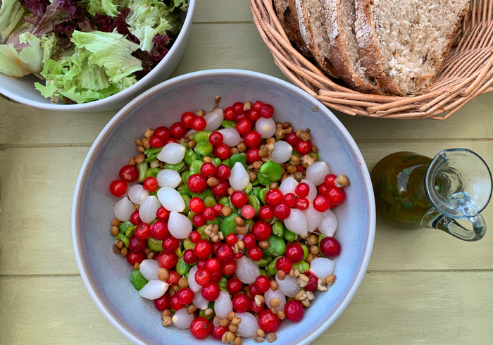 St jans salade homepage